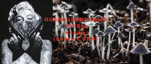 кокс Инсар