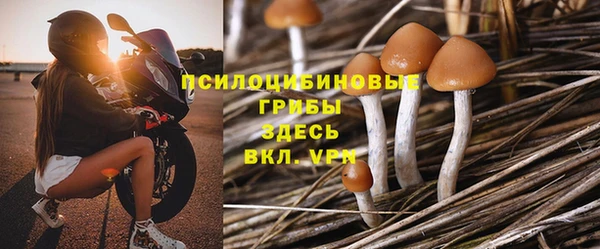 таблы Инта
