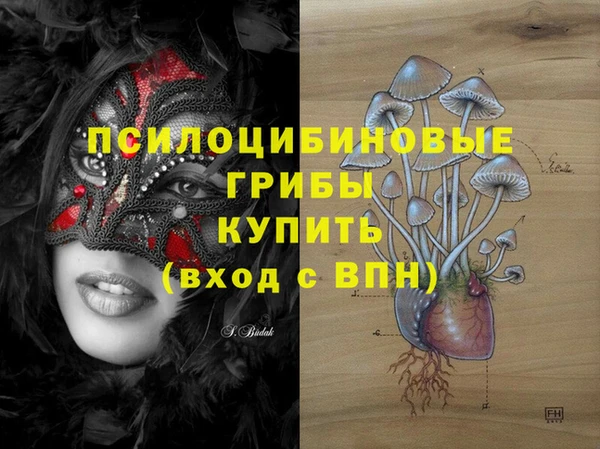таблы Инта