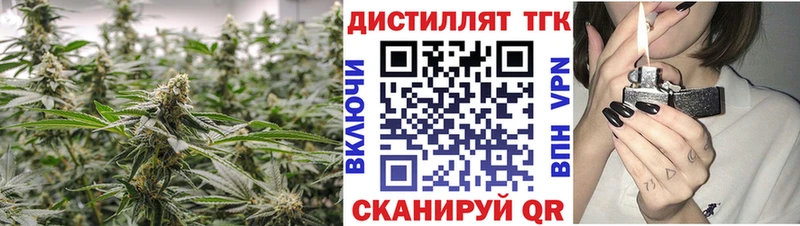 Купить  Мураши  ТГК концентрат 